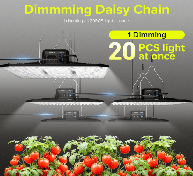 LED Grow Light for Indoor Plants LED Grow Light for Indoor Plants