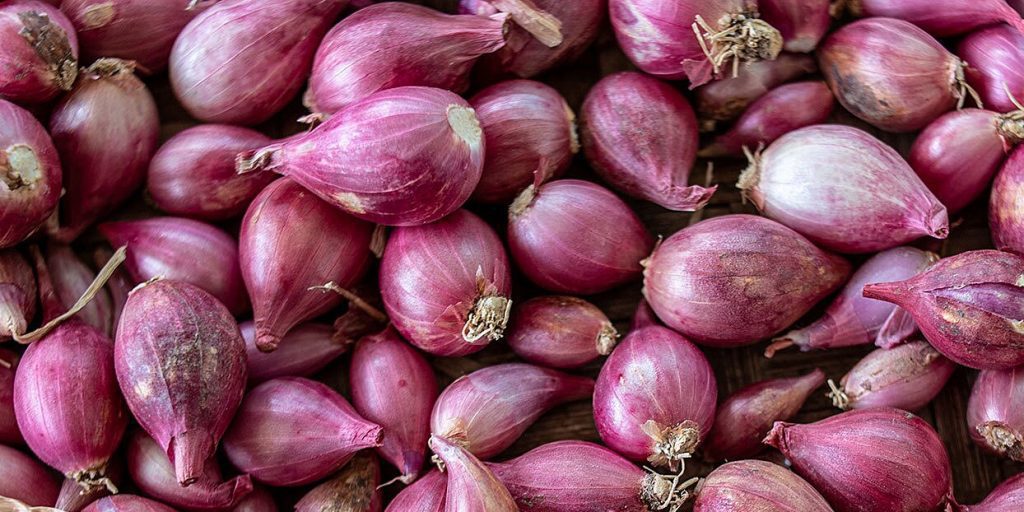 What is Shallots