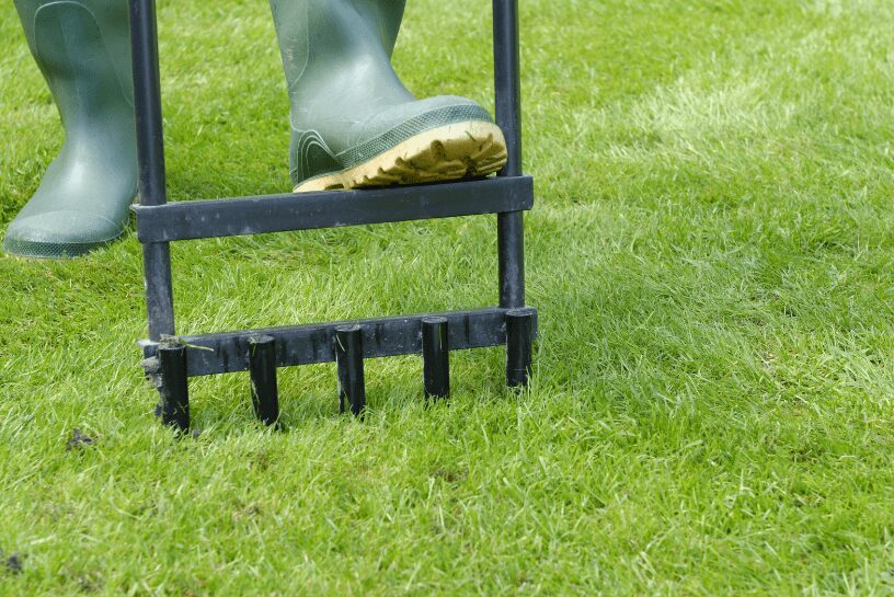 Ways To Accelerate Grass Growth