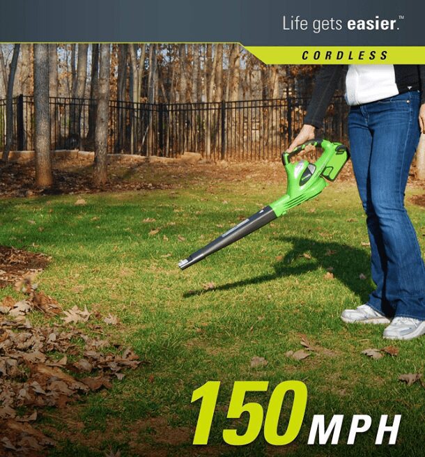 Greenworks 40 Volt Cordless BlowerVacuum Tool Only