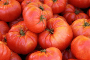 Brandywine pink tomato