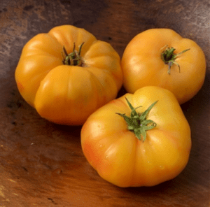 Hillbilly tomato