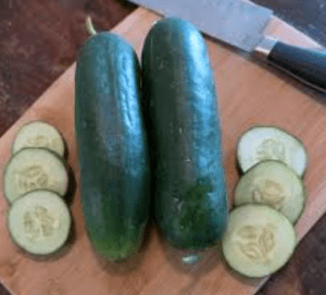 ashley slicer cucumber