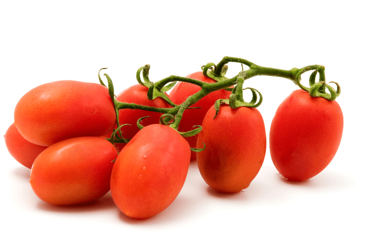 A basket of freshly picked Roma plum tomatoes