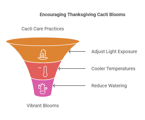 Thanksgiving Cactus Thanksgiving Cactus