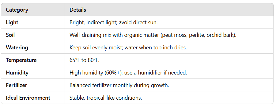 Care Requirements for Philodendron Florida Ghost Care Requirements for Philodendron Florida Ghost