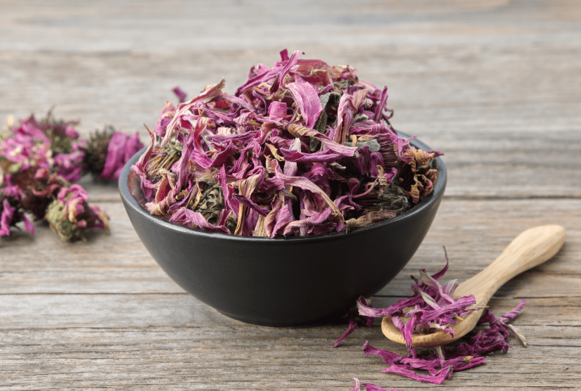 Dried coneflower Dried coneflower