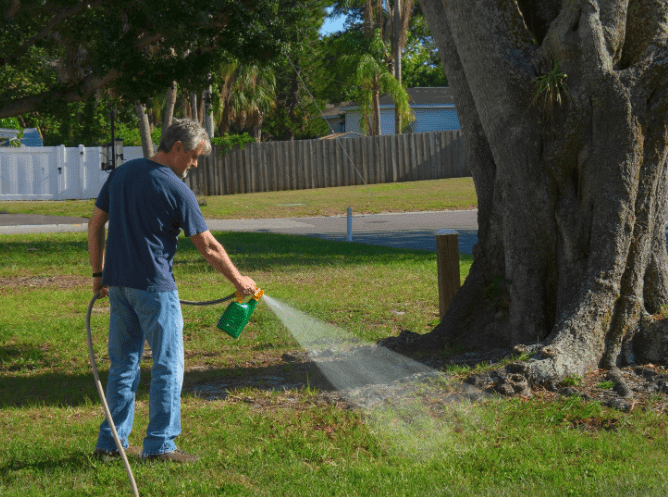 Spruce Weed Killer Spruce Weed Killer