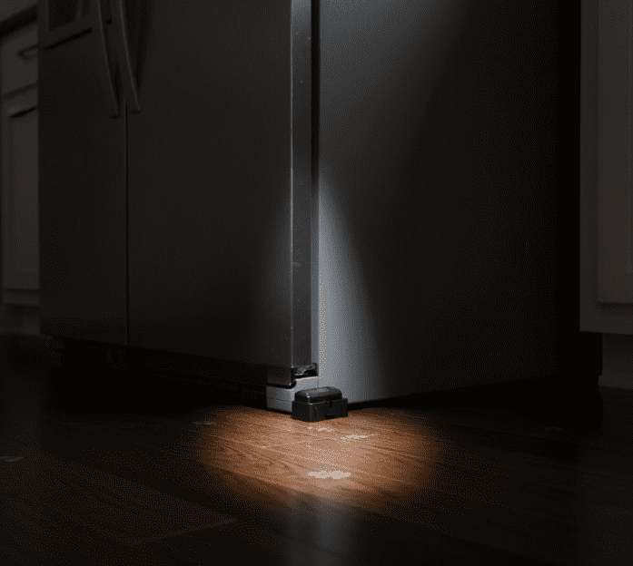 traps and baits traps and baits