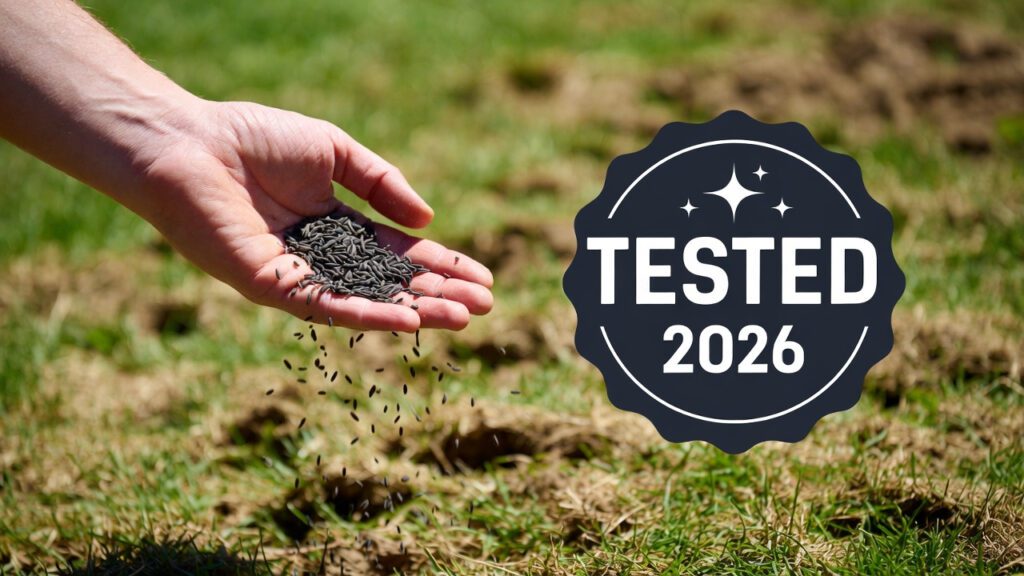 A close-up photograph of a hand scattering premium grass seed into aeration holes on a spring lawn, with a graphic badge labeled "TESTED 2026". This image represents the article title 'Best Grass Seed for Overseeding 2026