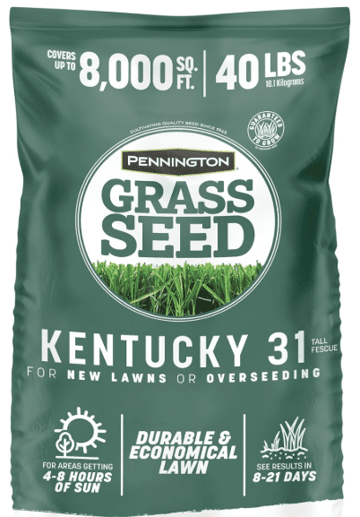 Pennington Kentucky 31 Tall Fescue grass seed bag, a durable and budget-friendly option for lawn overseeding.