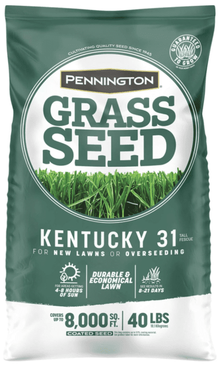 Pennington Kentucky 31 Tall Fescue Medium Shade Grass Seed Pennington Kentucky 31 Tall Fescue Medium Shade Grass Seed