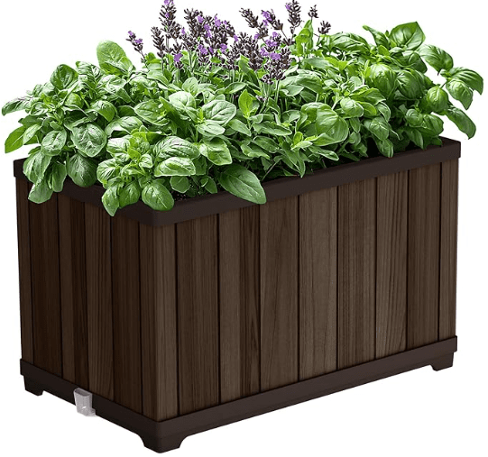 Potted Ornamental Tall Grasses Potted Ornamental Tall Grasses