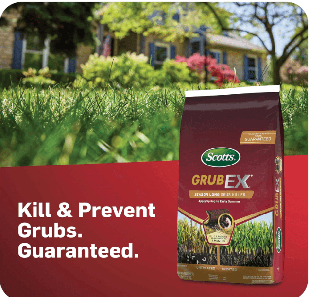 Scotts GrubEx1 Season Long Grub Killer for Lawns Scotts GrubEx1 Season Long Grub Killer for Lawns