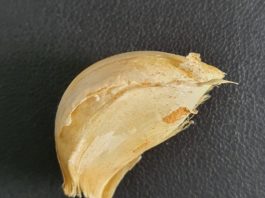 What is a Clove of Garlic, Is Garlic a Vegetable? Garlic Clove