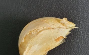 How to Grow Garlic: Plant, Harvest, Cure & Use It Garlic Clove