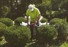 Hedge Trimming for a Beautiful Garden: A Beginner’s Guide Hedge trimming for your Garden