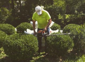 Hedge Trimming for a Beautiful Garden: A Beginner’s Guide Hedge trimming for your Garden
