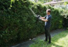 Hedge Trimming Guide: When, How & Tools for Dense, Healthy Hedges Gardener trimming a dense green privacy hedge with a cordless hedge trimmer and safety gear