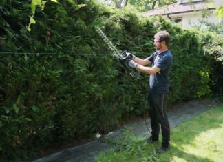 Hedge Trimming Guide: When, How & Tools for Dense, Healthy Hedges Gardener trimming a dense green privacy hedge with a cordless hedge trimmer and safety gear