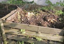 How to Craft a Compost in Your Backyard Garden How to Craft a Compost