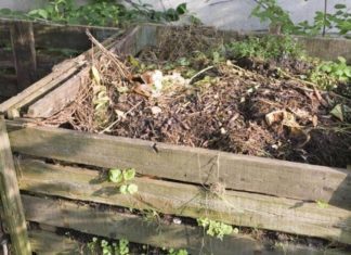 How to Craft a Compost in Your Backyard Garden How to Craft a Compost