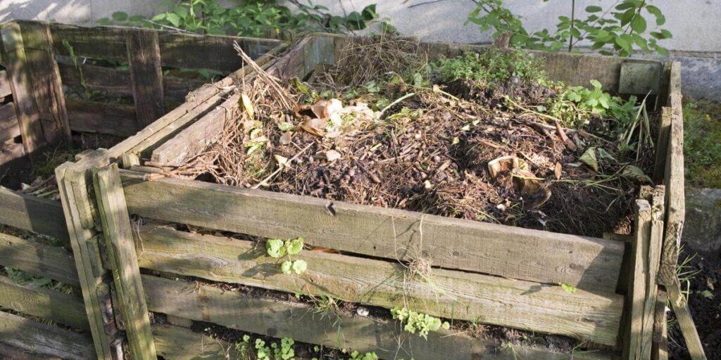 How to Craft a Compost