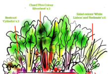 Back Door Vegetables and How to Make Perfect Use of Them Back Door Vegetables