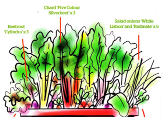 Back Door Vegetables and How to Make Perfect Use of Them Back Door Vegetables