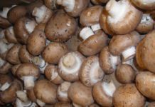 Cremini Mushrooms: What Are Cremini Mushrooms? Cremini Mushrooms