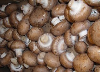 Cremini Mushrooms: What Are Cremini Mushrooms? Cremini Mushrooms