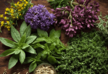 Herbs For Health Coughs And Colds Herbs For Health Coughs And Colds