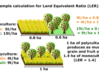 Monoculture to Horticulture Converting your Lawn to a Veganic Garden Monoculture to Horticulture