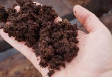 Peat Free Gardening and Peat Free Compost Peat Free Gardening