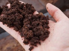 Peat Free Gardening and Peat Free Compost Peat Free Gardening