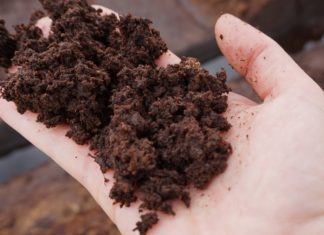 Peat Free Gardening and Peat Free Compost Peat Free Gardening