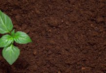 Secrets of Good Soil: Understanding Soil Secrets of Good Soil