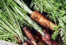 Are Carrots Good For Your Eyes: Natural Grow Are Carrots Good For Your Eyes