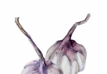 Homegrown Garlic: 2 Australian Food Awards Homegrown Garlic