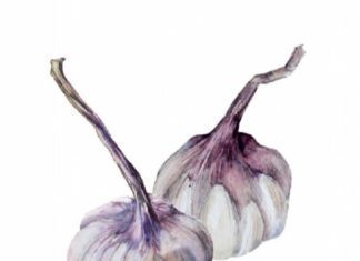 Homegrown Garlic: 2 Australian Food Awards Homegrown Garlic