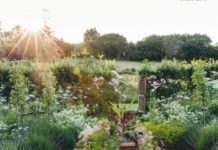 How To Create A Cottage Garden 7 Tips How To Create A Cottage Garden