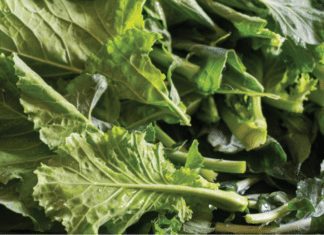 What Are The Fastest Growing Vegetables What Are The Fastest Growing Vegetables