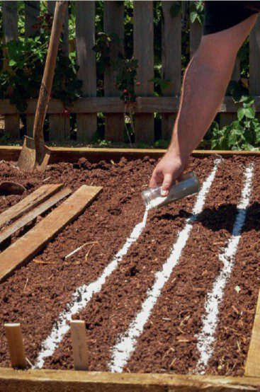 prepare beds for sowing