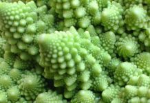 Broccoli: 4 Magnificent Friends You Should Know Broccoli