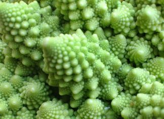 Broccoli: 4 Magnificent Friends You Should Know Broccoli