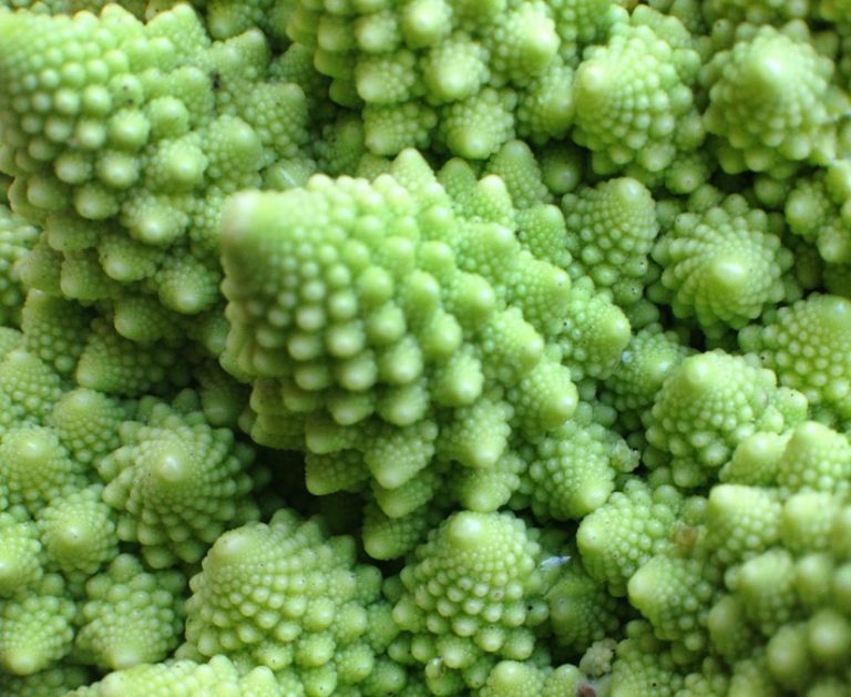 Broccoli: 4 Magnificent Friends You Should Know