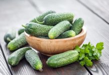 Burpless cucumbers: 1 Scientific Research Report Burpless Cucumbers