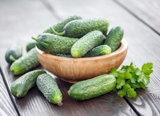 Burpless cucumbers: 1 Scientific Research Report Burpless Cucumbers