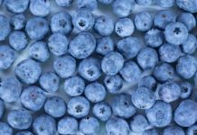 How To Freeze Blueberries In 4 Easy Steps How to freeze blueberries