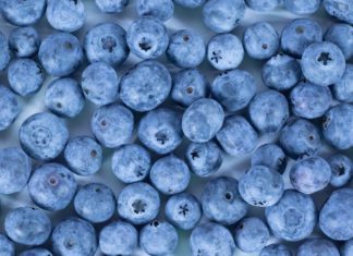 How To Freeze Blueberries In 4 Easy Steps How to freeze blueberries